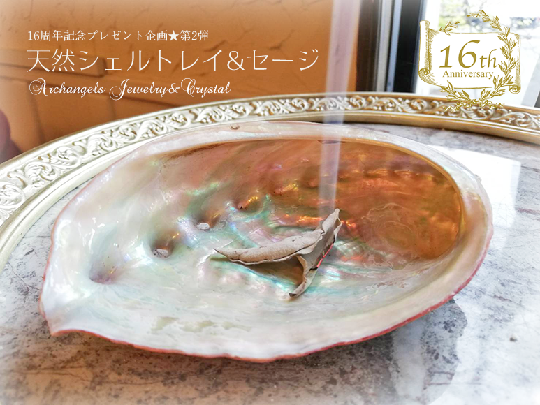 天然石 パワーストーン|天然シェル 浄化 さざれ セージ 16周年記念 プレゼント アーキエンジェルズ