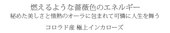 天然石 パワーストーン|インカローズ コロラド産 ロードクロサイト 丸珠 スフィア 原石 ルース アーキエンジェルズ